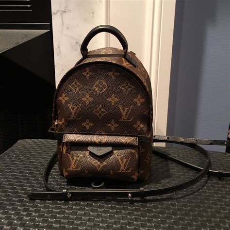 louis vuitton palm springs backpack dupe|palm springs backpack mini price.